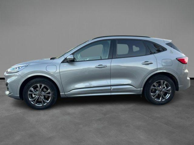 FORD Kuga 2.5 Plug In Hybrid 225 CV CVT 2WD ST-Line