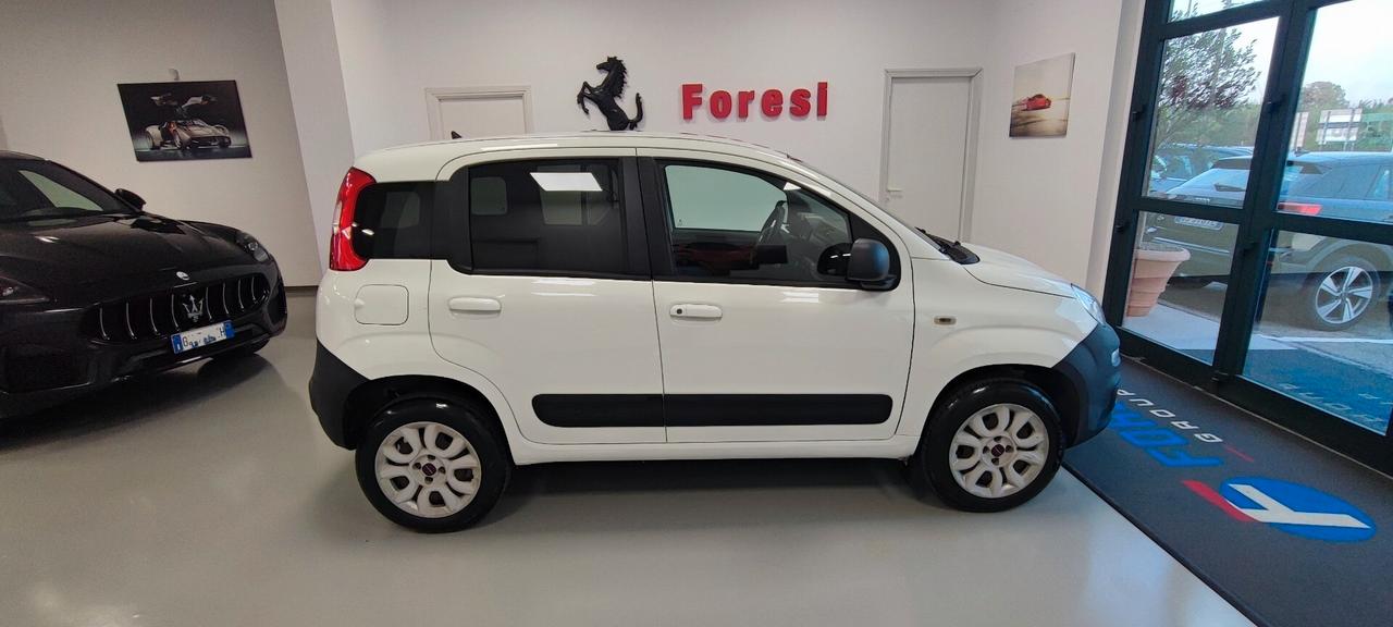 Fiat Panda 1.3 MJT S&S 4x4 Pop Climbing Van 2 posti