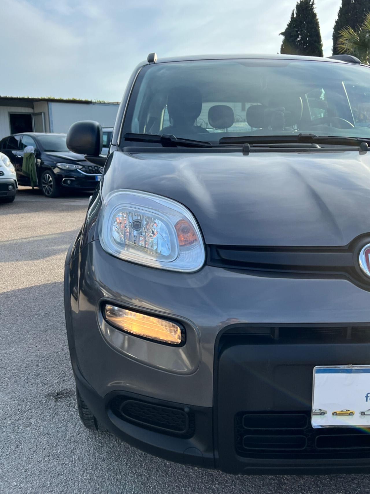 Fiat Panda Cross 1.0 FireFly S&S Hybrid Anno 2022