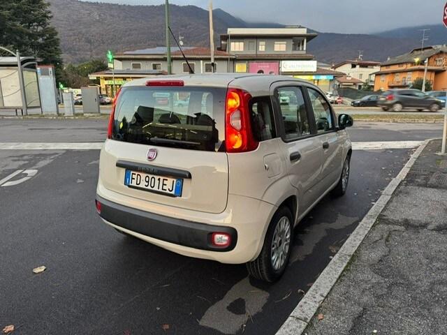 FIAT Panda 3ª serie Panda 1.2 EasyPower Easy