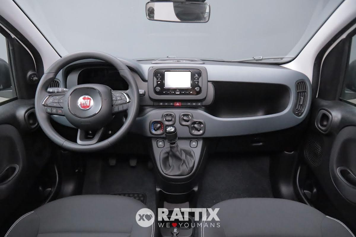 Fiat Panda 1.0 firefly hybrid 70CV Icon