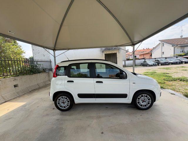 FIAT Panda 1.2 Easy EURO 5 BENZ OK NEOPATENTATI PRONTA CONS.