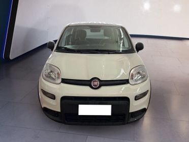 FIAT Panda My23 1.0 70cv Hybrid Panda