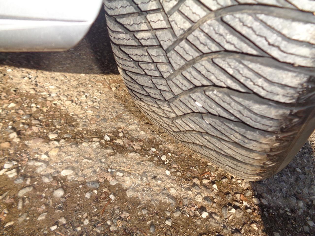 Lancia Ypsilon 1.2 Platino garaz 12 mesi