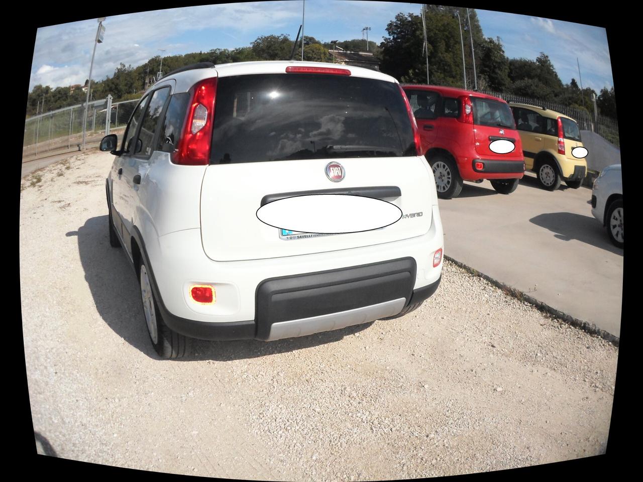 Fiat Panda 1.0 FireFly S&S Hybrid Red