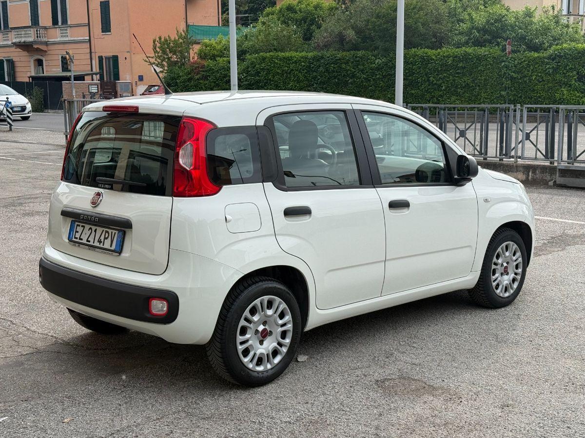 FIAT - Panda - 1.3 MJT 95 CV S&S Easy
