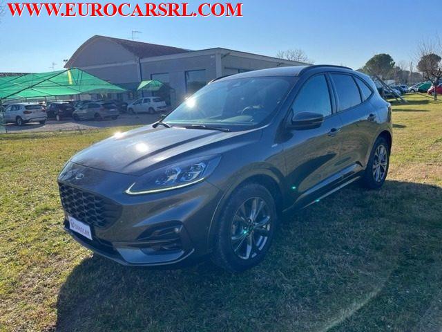 FORD Kuga 2.0 EcoBlue Hybrid 150 CV 2WD ST-Line