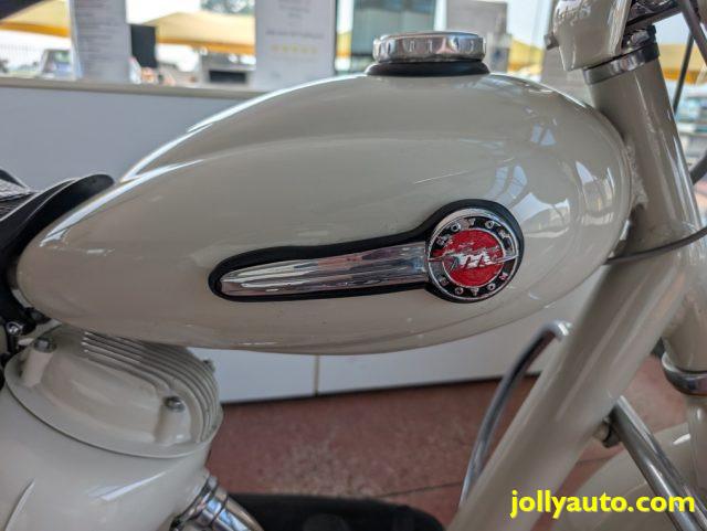 MOTOM Dolcevita 160 DELFINO