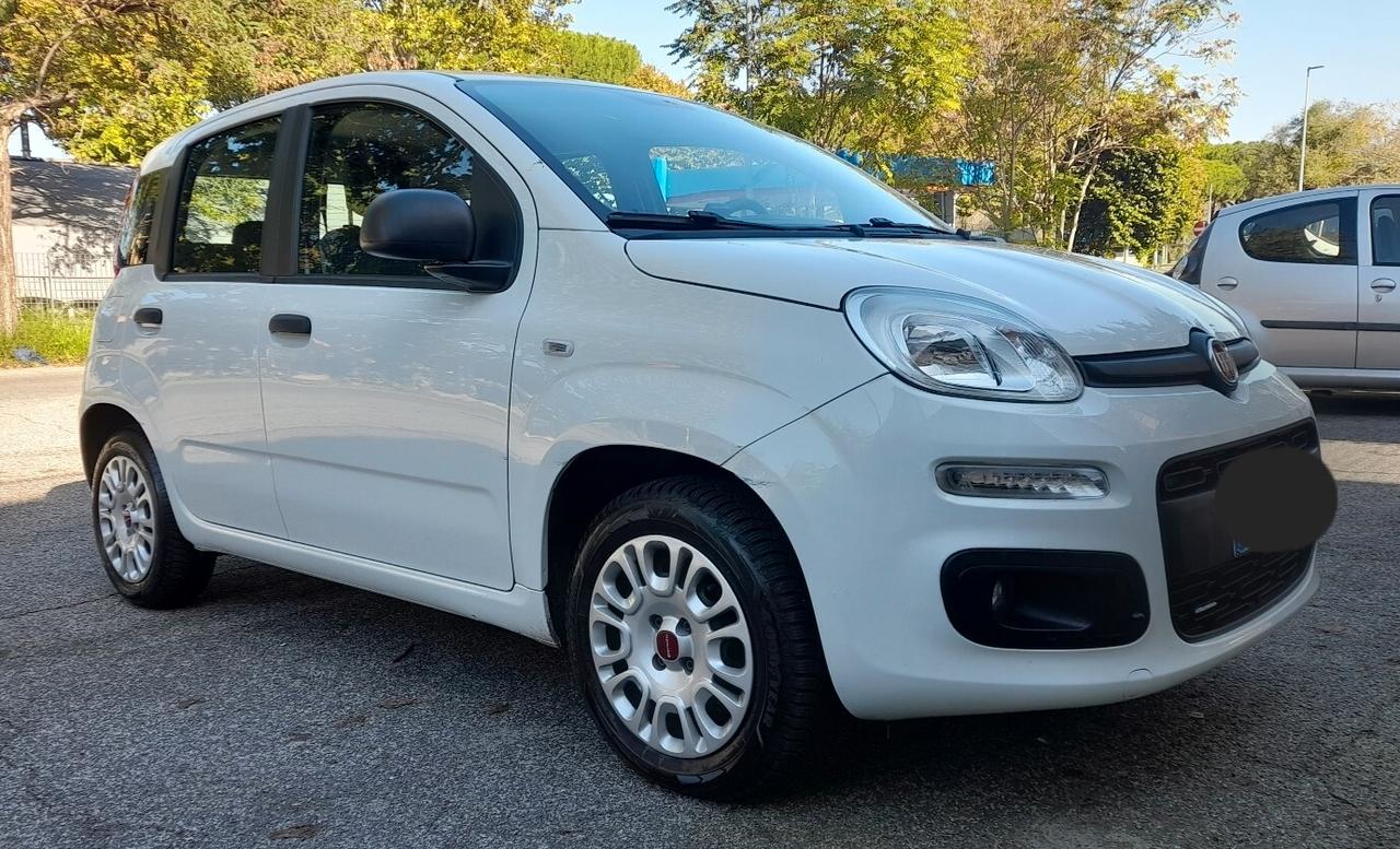 Fiat panda 1.2 CV69 euro6D 2019 Adatta a neopatentati permuta