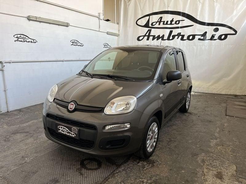 FIAT Panda Panda 1.2 Easy tua 110,00 al mese