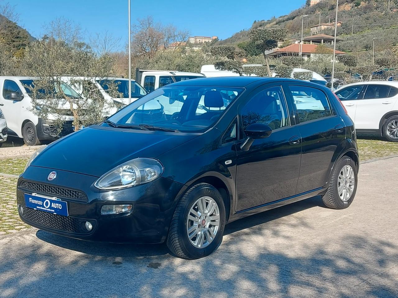 Fiat Punto 1.2 Lounge 69CV -IN ARRIVO-