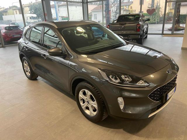 FORD Kuga 1.5 EcoBlue 120 CV aut. Connect