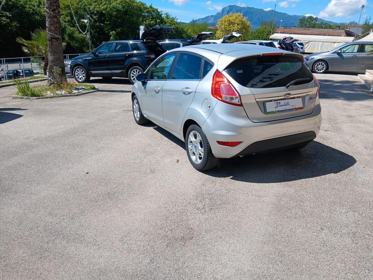 Ford Fiesta 1.4 5 porte Bz.- GPL Black & White Edition