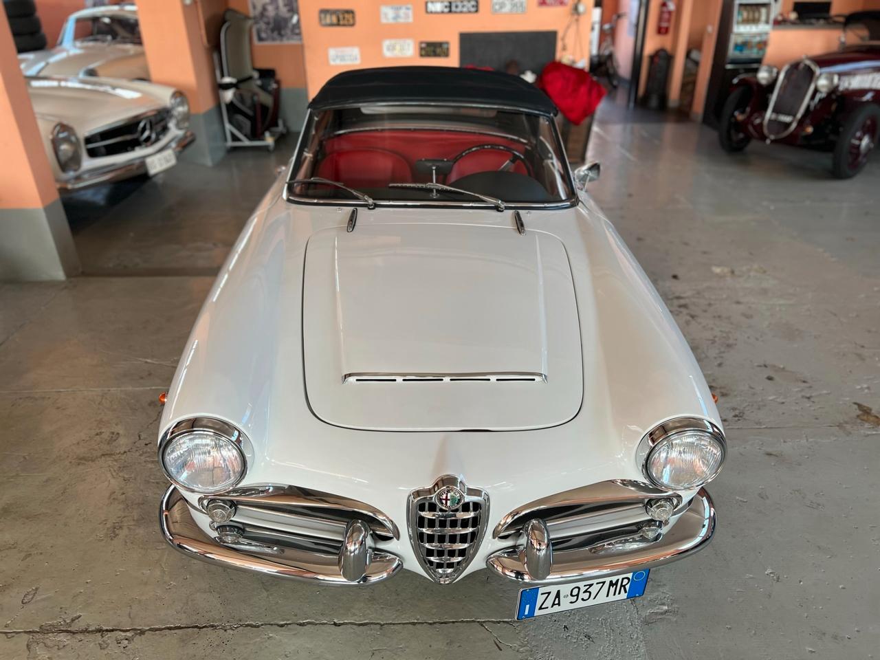 Alfa Romeo Giulia spider 1964