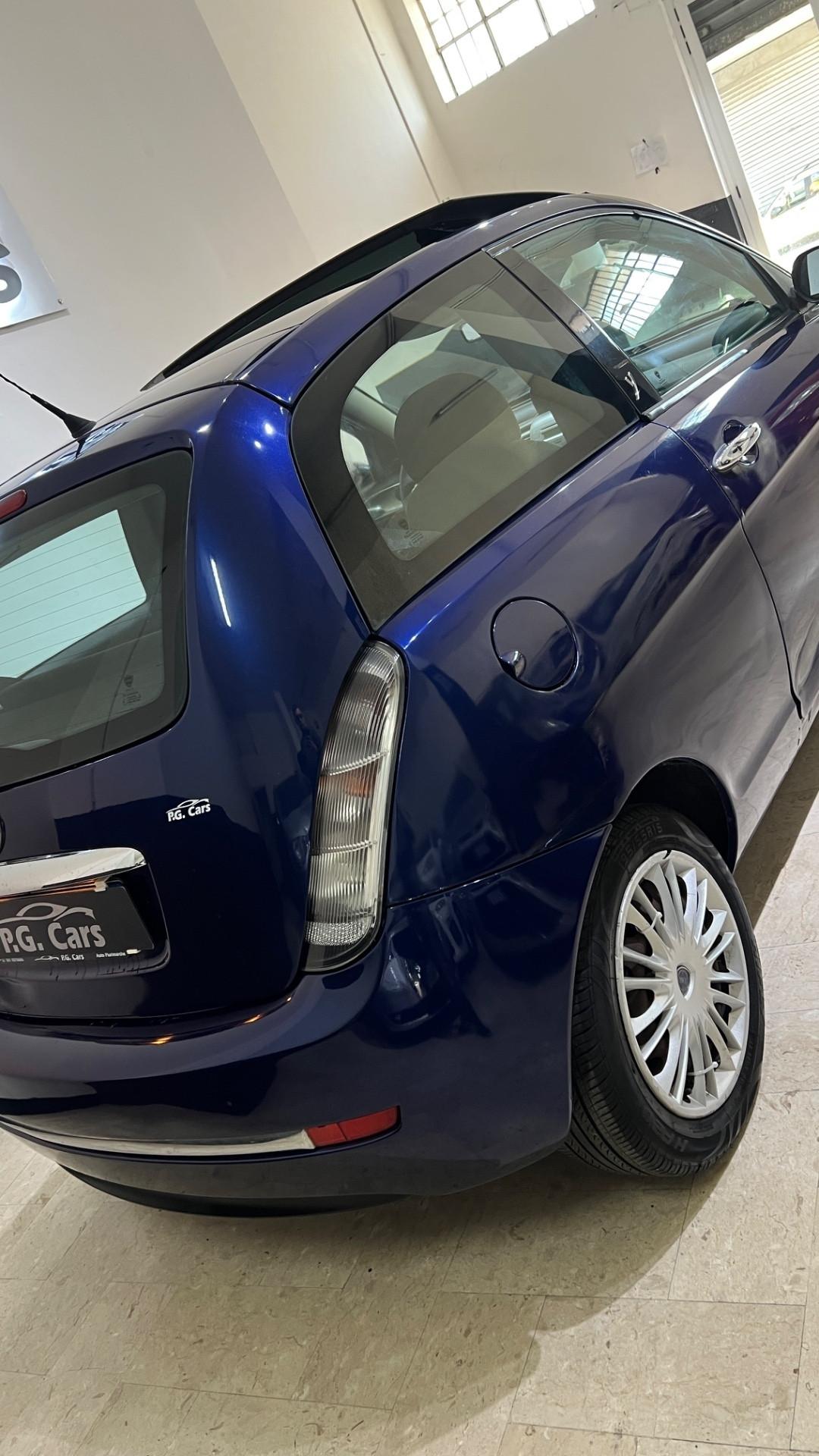 Lancia Ypsilon Platino tetto