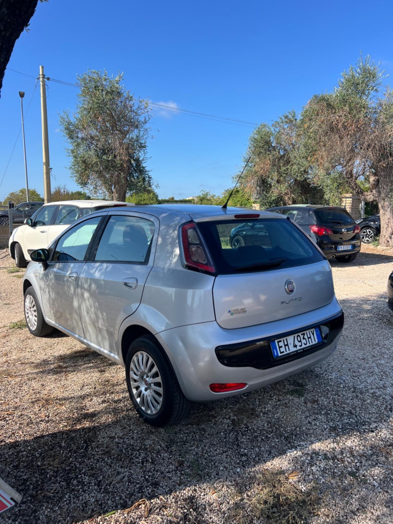 Fiat Punto Evo 1.4 5 porte Dynamic Natural Power xfetta!!