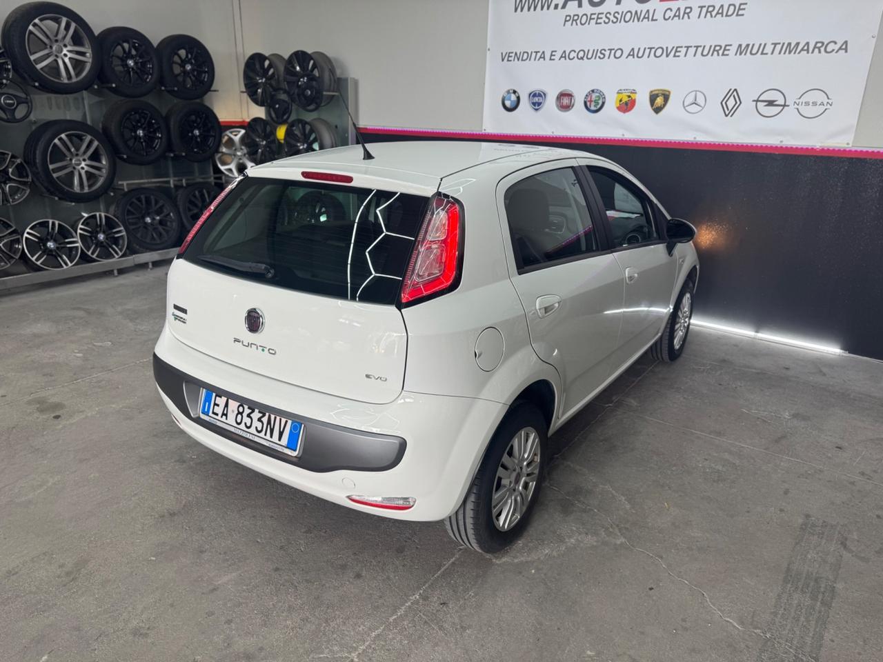 Fiat Punto Evo 1.4 Benzina Metano ADATTA NEOPATENTATI 5Porte