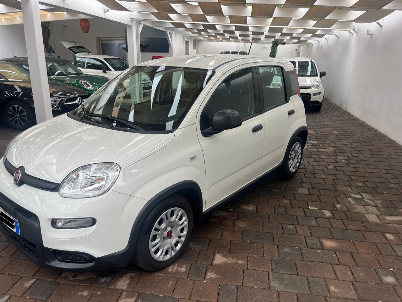 Fiat Panda 1.0 FireFly S&S Hybrid