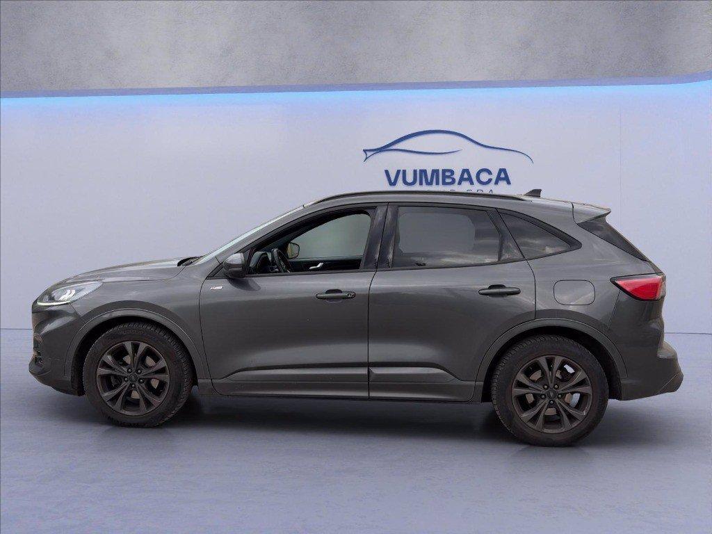 FORD Kuga 2.0 ecoblue ST-Line 2wd 120cv auto del 2023