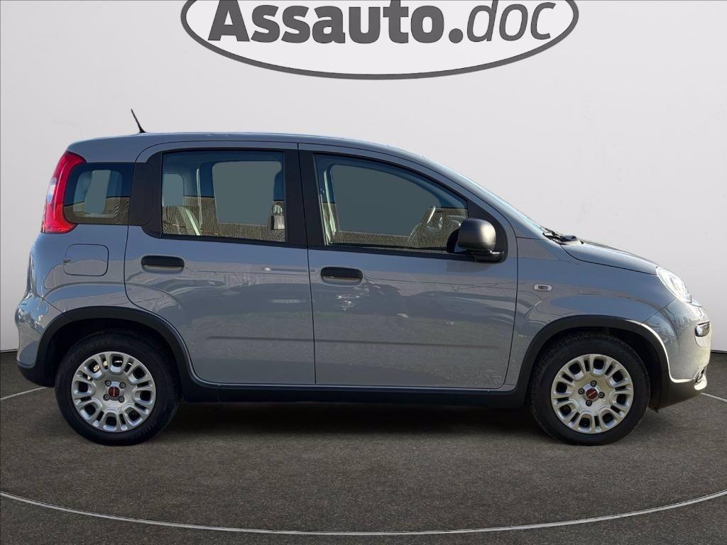 FIAT Panda 1.0 firefly hybrid s&s 70cv del 2023