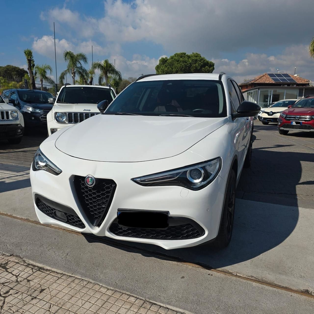 Alfa Romeo Stelvio 2.2 Turbodiesel 210 CV AT8 Q4 Executive