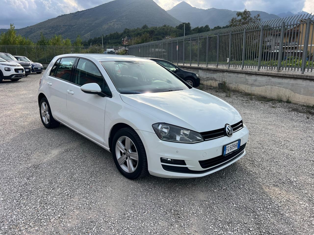 Volkswagen Golf 1.6 TDI 115 CV 5p. Business BlueMotion Technology