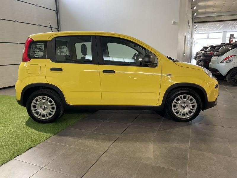FIAT Panda 1.0 FireFly S&S Hybrid Pandina