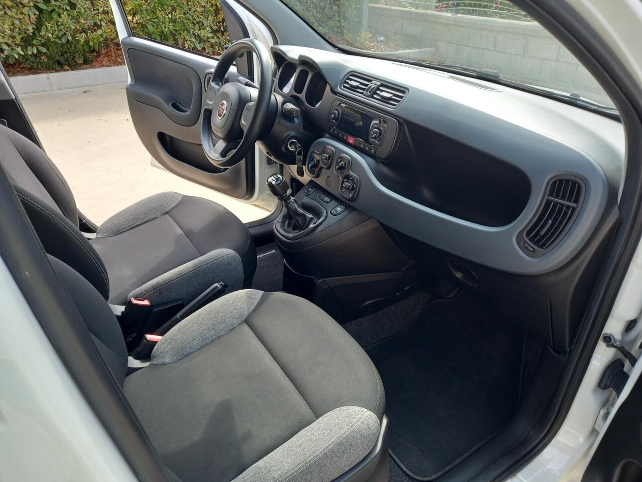 Fiat Panda BENZINA 5 POSTI 2021