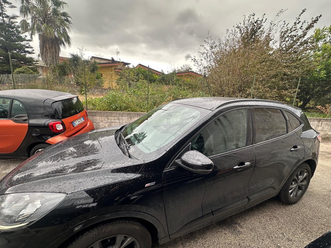 Ford Kuga 2.0 EcoBlue 190 CV aut. AWD ST-Line X