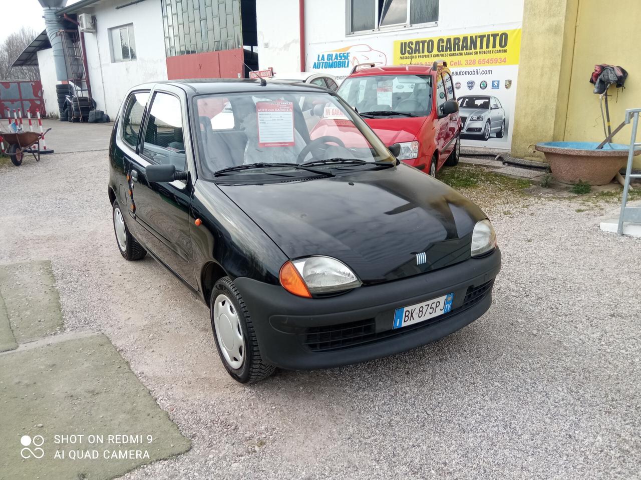 Fiat Seicento 900i cat Young