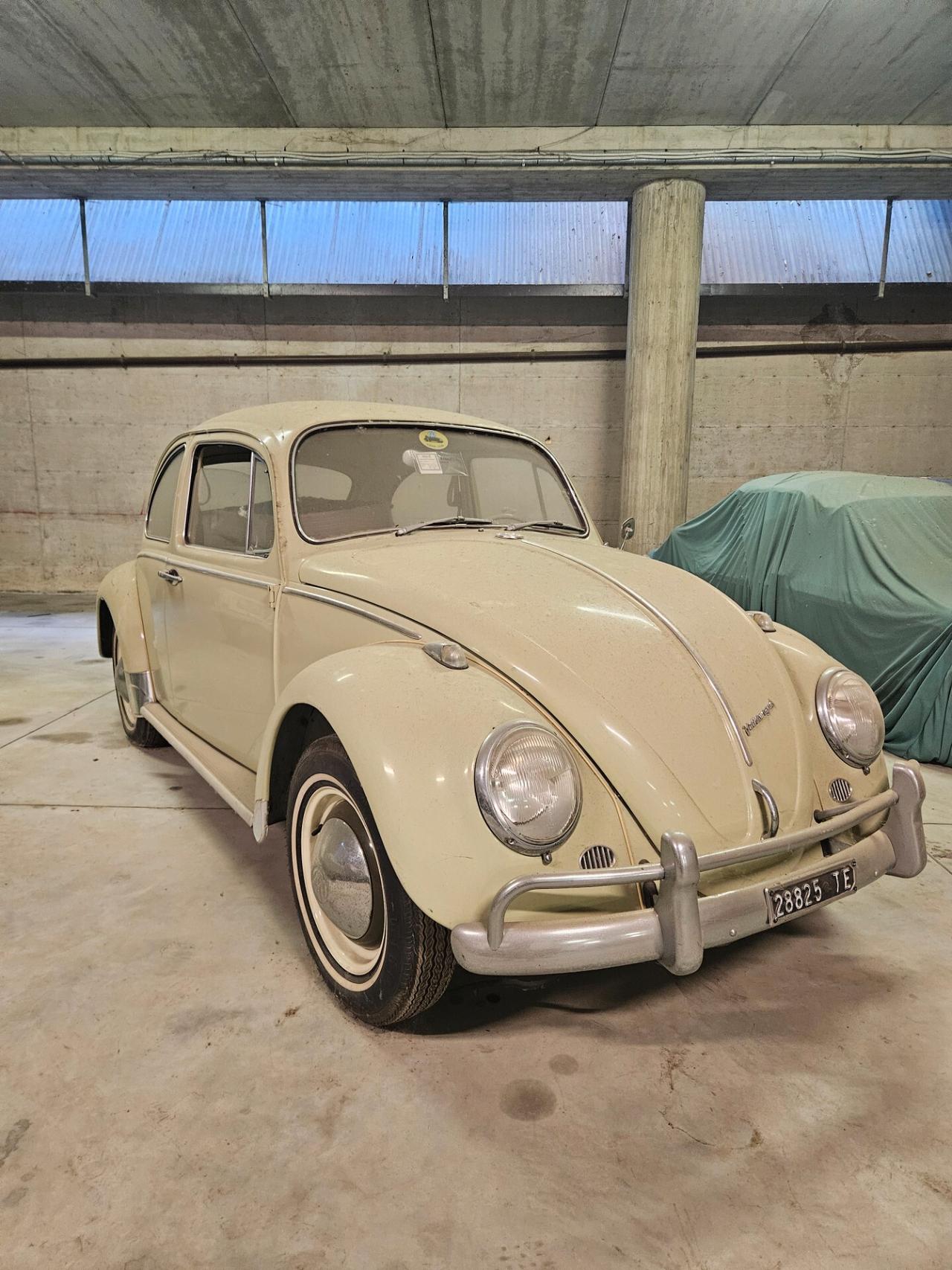 Volkswagen Maggiolino Volkswagen Maggiolino 6 V