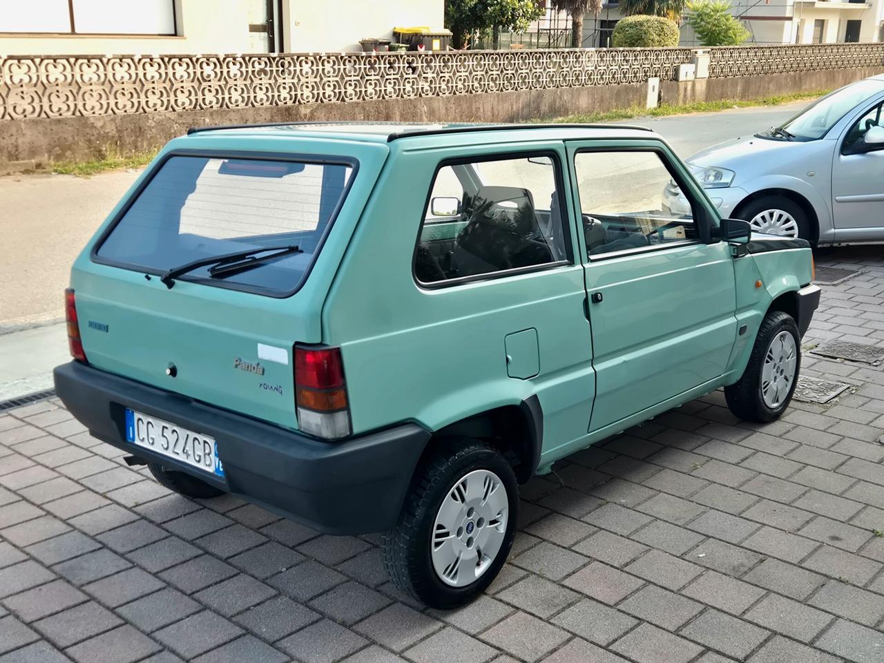 Fiat Panda 1100 i.e. cat Young