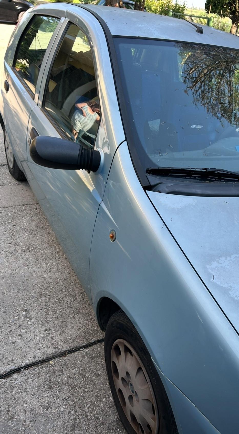 Fiat Punto 1.2i cat 5 porte Verve