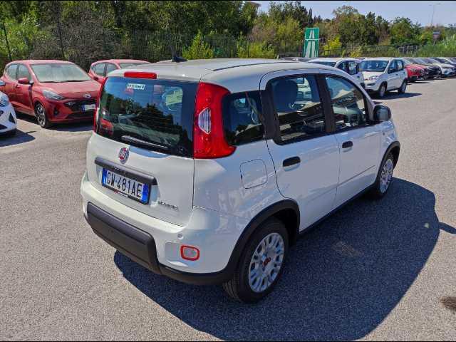 FIAT Panda 1.0 firefly hybrid s&s 70cv