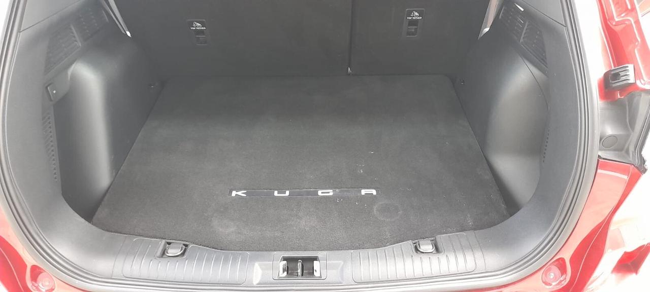 Ford Kuga 1.5 EcoBlue 120 CV 2WD ST-Line