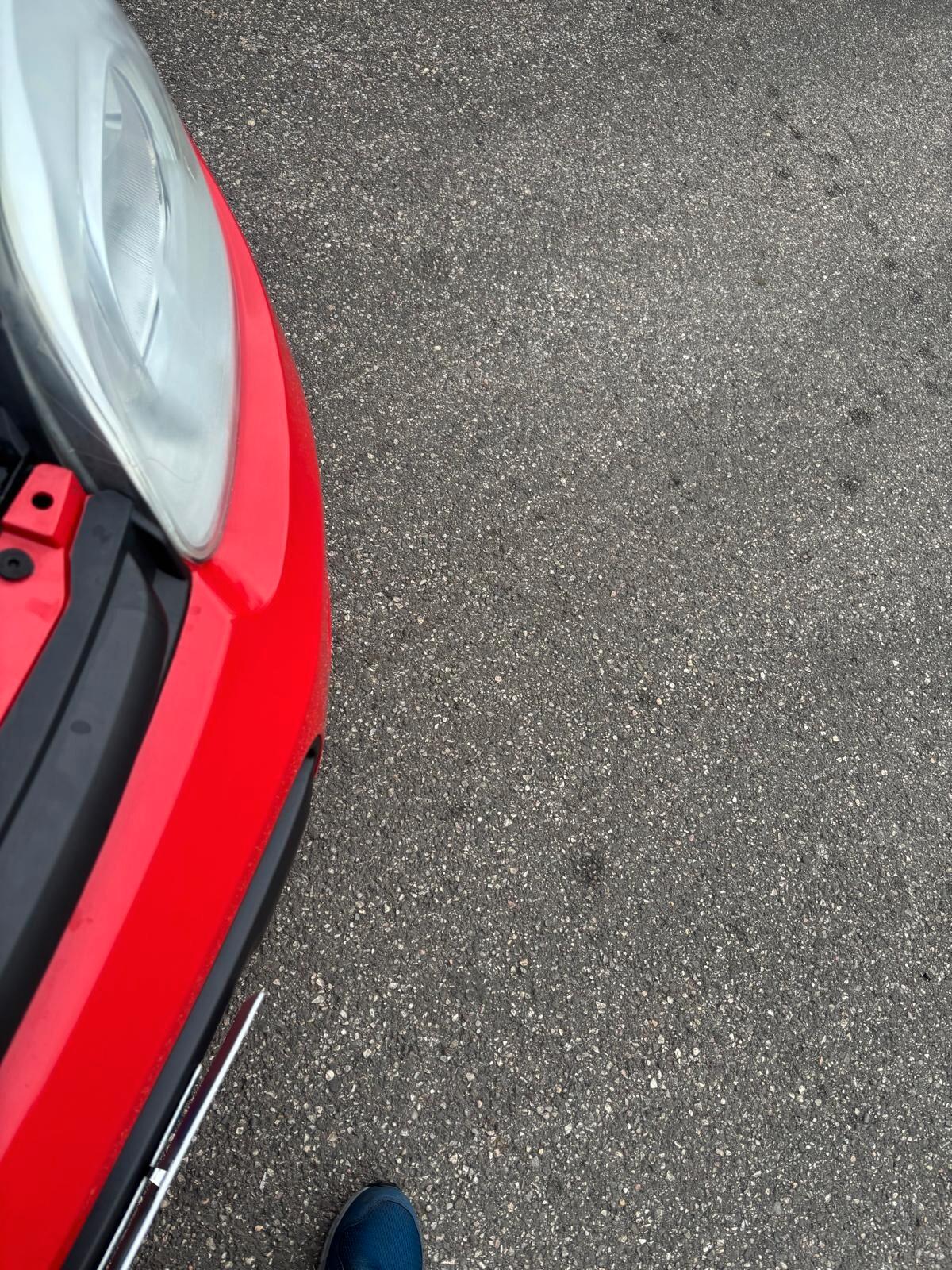 Fiat Panda 1.3 MJT 80 CV S&S Easy