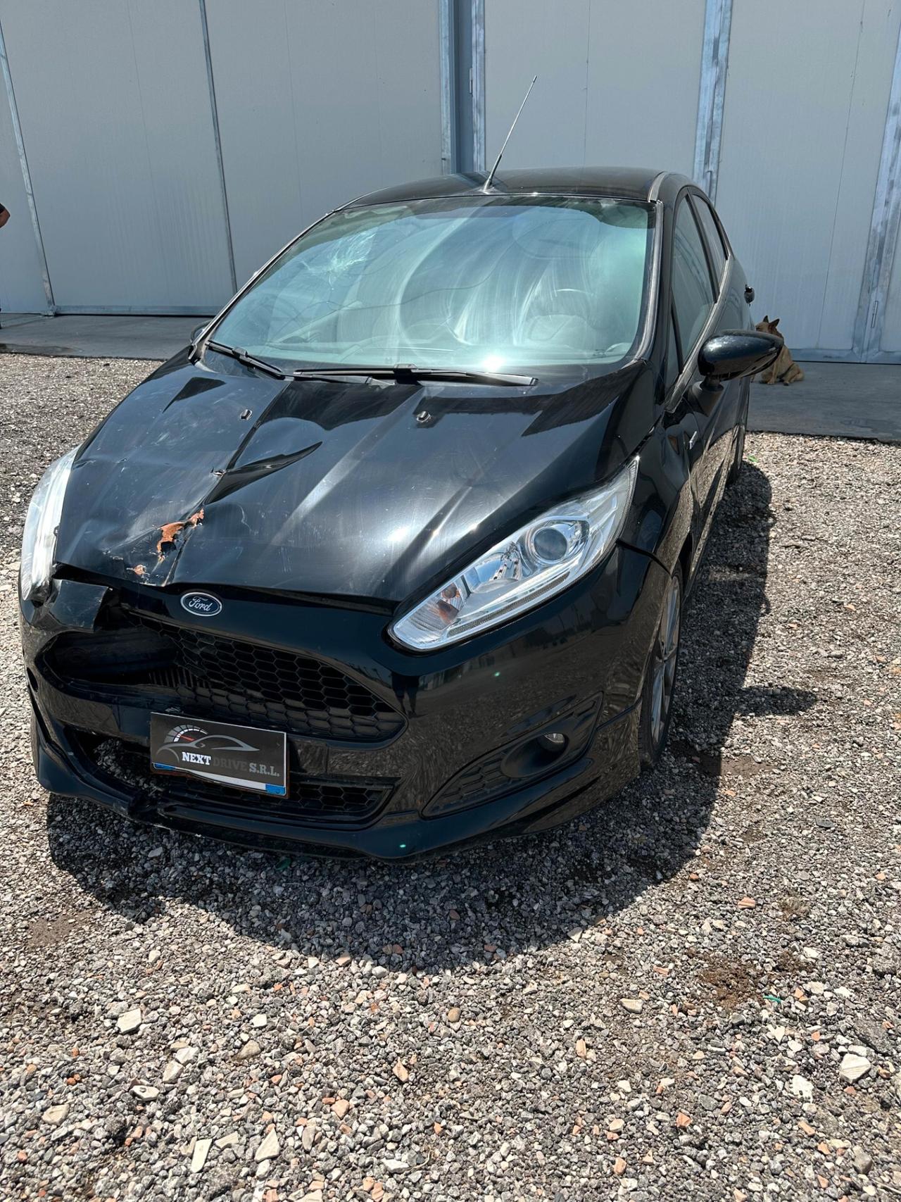 Ford Fiesta 1.5 TDCi 75CV 5 porte ST-Line