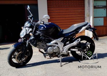 Suzuki Gladius 650