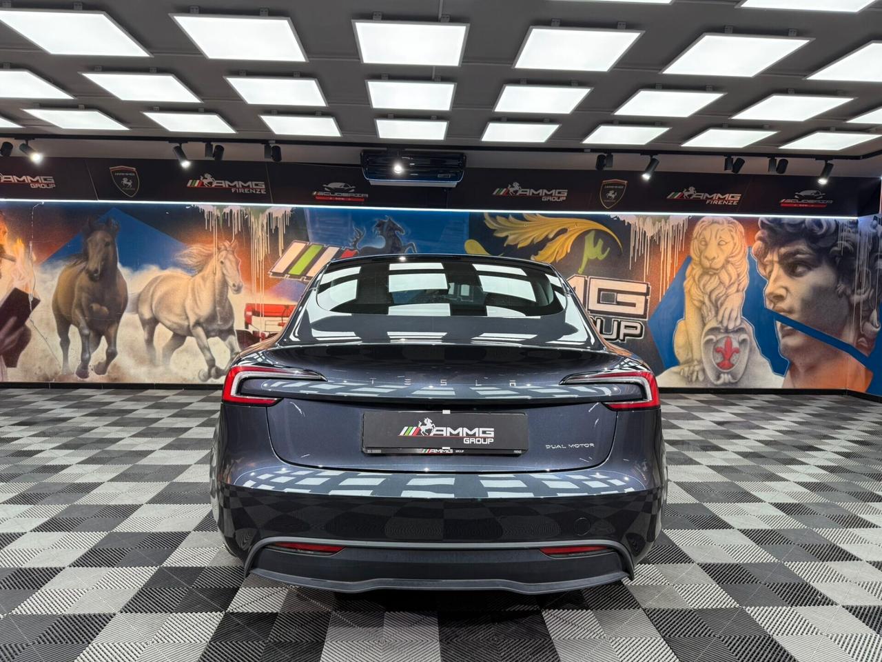 Tesla Model 3 NV35 Long Range AWD (418)