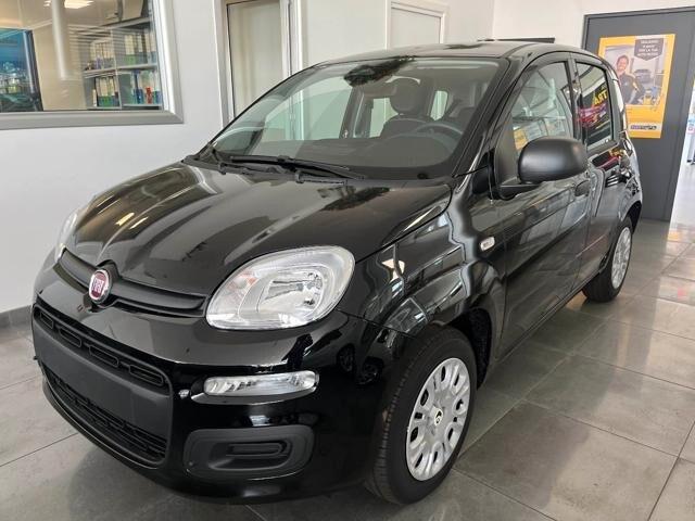 FIAT Panda 3ª serie Panda 1.0 FireFly S&S Hybr...