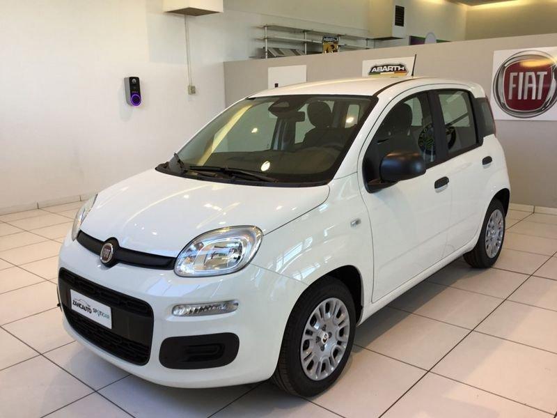 FIAT Panda Panda 1.0 FireFly S&S Hybrid Icon PROMO MESE + TARGA