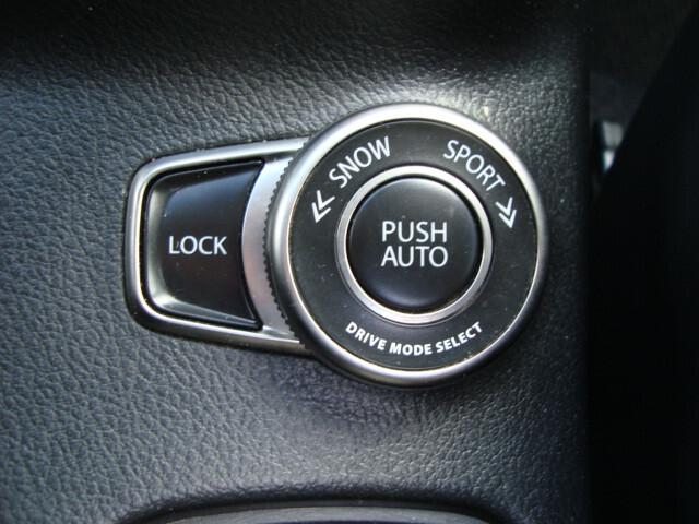 Suzuki S-Cross 1.4 Hybrid 4WD All Grip Starview