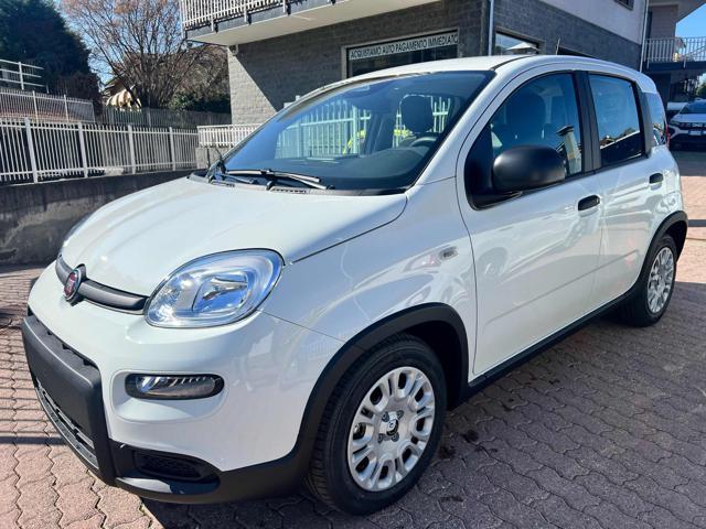 FIAT Panda 1.0 FireFly S&S Hybrid +pack radio sensori 5 posti