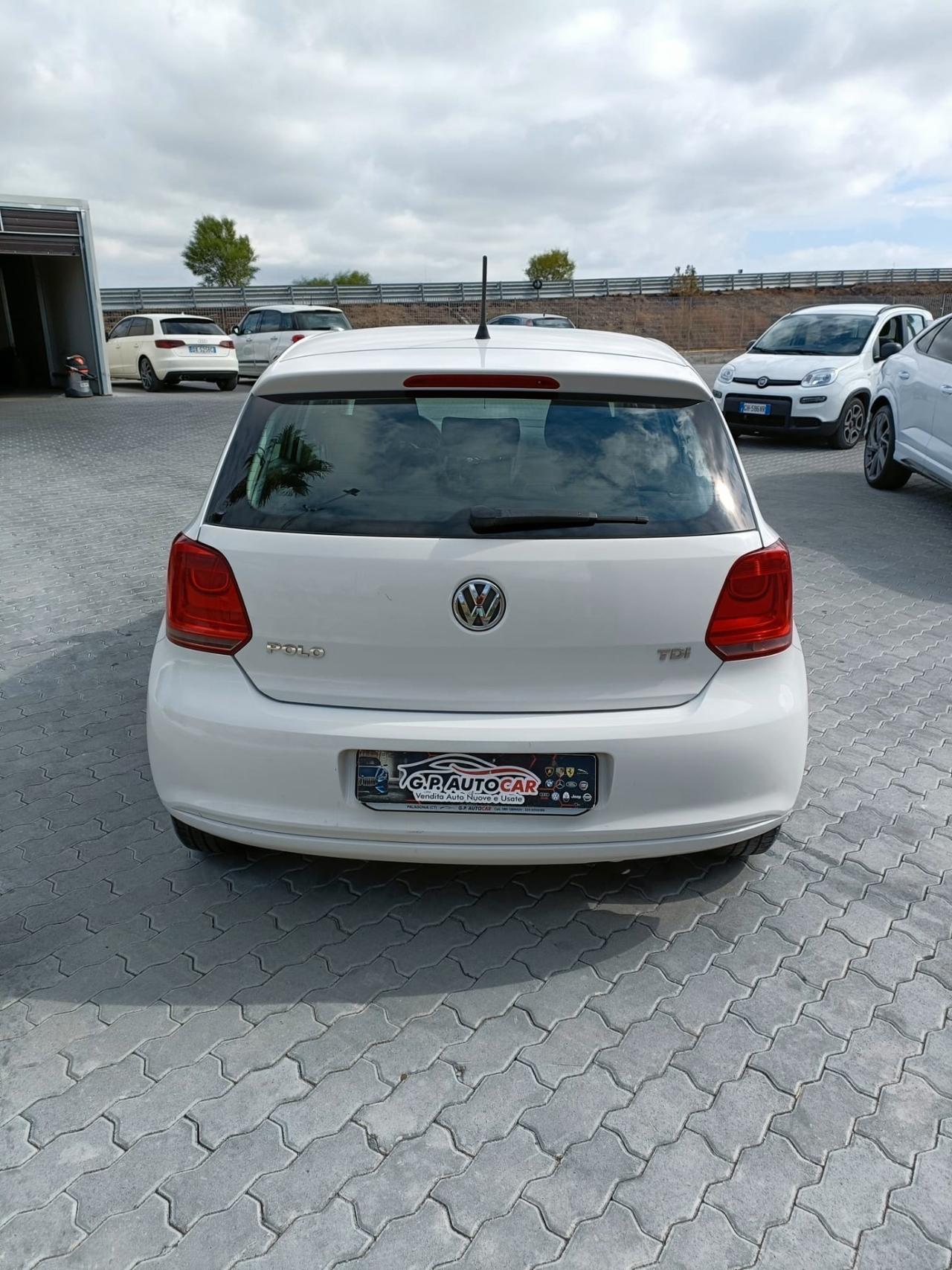 Volkswagen Polo 1.6 TDI 90CV DPF 5 porte Comfortline/-