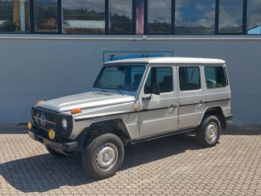 Mercedes-benz G 250 GD lungo Station Wagon