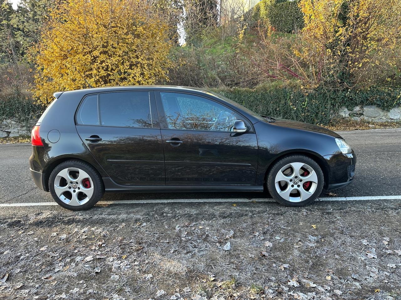 Volkswagen Golf GTI 2.0 16V TFSI 5p. - 2006