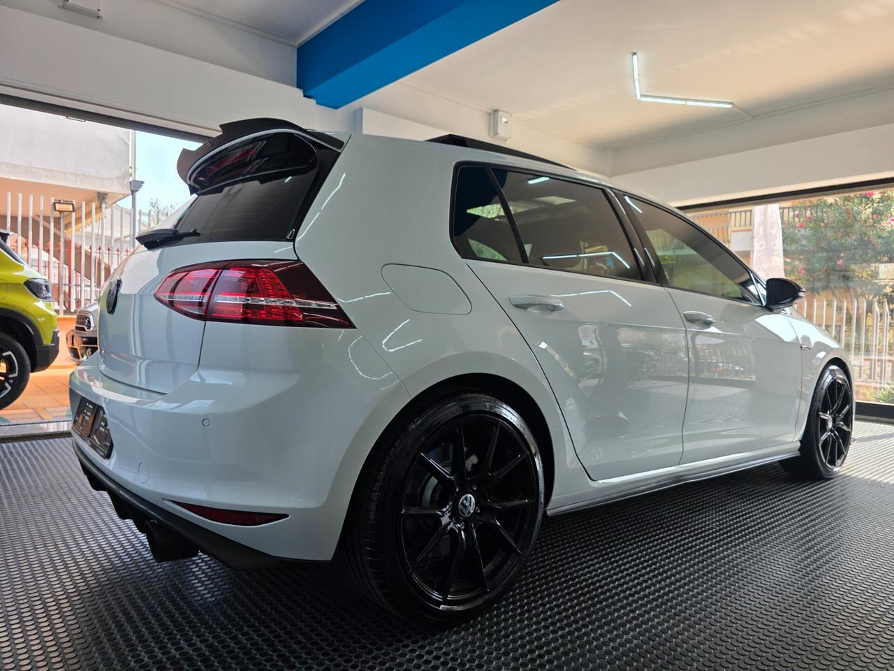 Volkswagen Golf GTI Performance 2.0 TSI 5p. BlueMotion Technology
