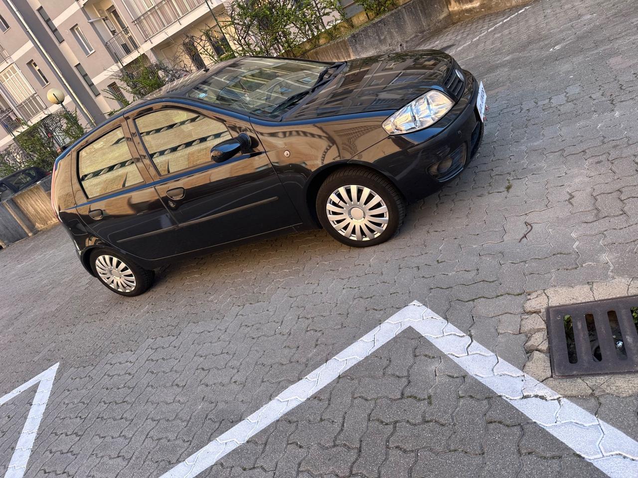 Fiat Punto 1.2 5 porte Active