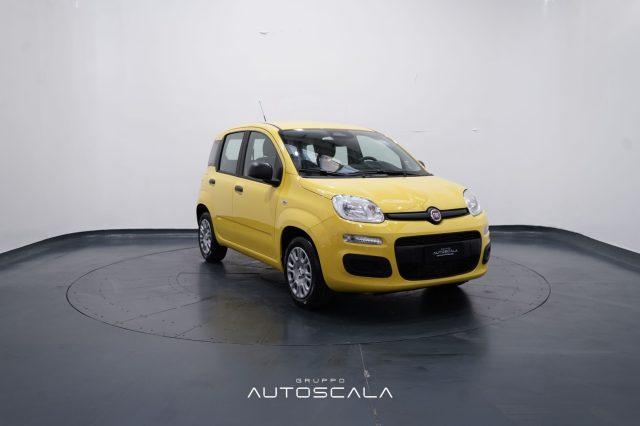 FIAT New Panda My25 1.0 FireFly S&S Hybrid