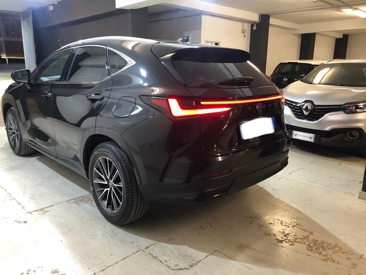 Lexus NX 300h NX Plug-in 4WD Luxury